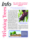 publication cover