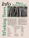 publication cover
