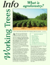 publication cover