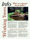 publication cover