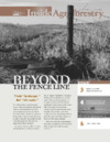 publication cover
