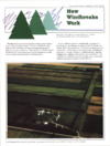 publication cover