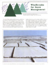 publication cover