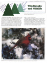 publication cover