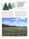 publication cover