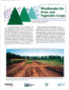 publication cover