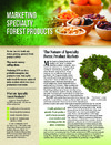 publication cover