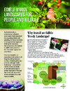publication cover