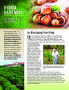 publication cover