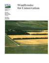 publication cover