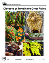 publication cover