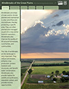 publication cover