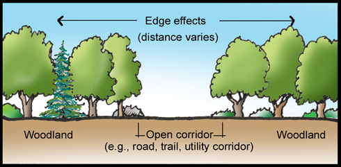 2.8 Buffers and Corridors