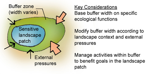 2.8 Buffers and Corridors