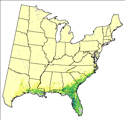 >Current Breeding Bird Survey for White Ibis