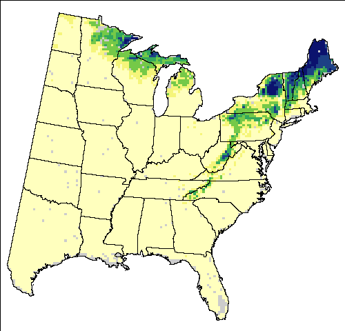 >Current Breeding Bird Survey for Magnolia Warbler