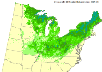 Tree atlas map for sugar maple