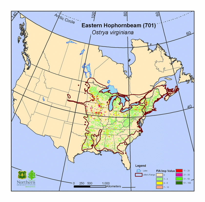 IV and Entire Range of Little's