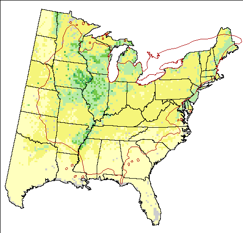 Hadley - High Scenario for silver maple