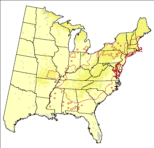 Hadley - High Scenario for scarlet oak