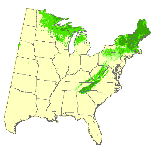 Geophysical Fluid Dynamics Laboratory (GFDL), Moderate emissions (RCP 8.5) for eastern white pine Geophysical Fluid Dynamics Laboratory (GFDL), Moderate emissions (RCP 8.5) for eastern white pine
