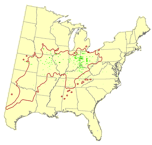 Modeled Habitat for Ohio buckeye