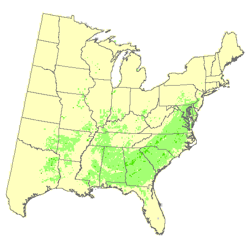 HadGEM2-ES, Moderate emissions (RCP 8.5) for river birch HadGEM2-ES, Moderate emissions (RCP 8.5) for river birch