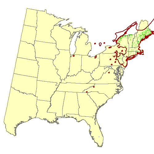 Current Forest Inventory and Analysis under Current Conditions