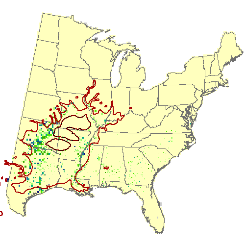 Current Forest Inventory and Analysis for pecan