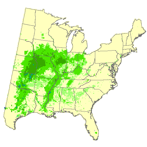 Community Climate System Model 4.0 (CCSM4), Moderate emissions (RCP 8.5) for pecan