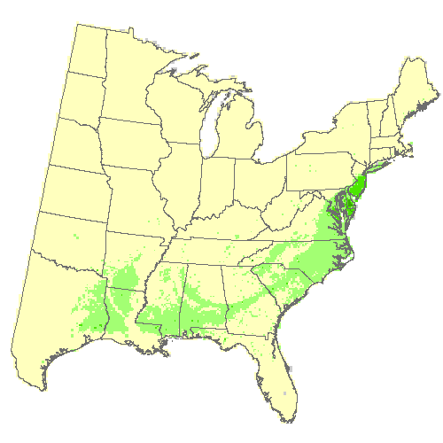 Community Climate System Model 4.0 (CCSM4), Moderate emissions (RCP 4.5) for American holly Community Climate System Model 4.0 (CCSM4), Moderate emissions (RCP 4.5) for American holly