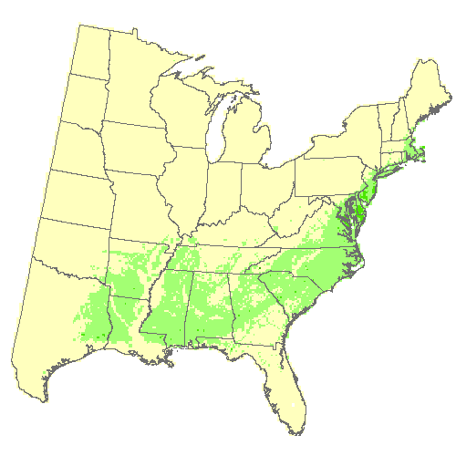 Average of 3 GCM, Moderate emissions (RCP 8.5) for American holly Average of 3 GCM, Moderate emissions (RCP 8.5) for American holly