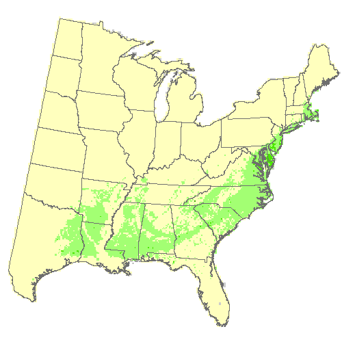 HadGEM2-ES, Moderate emissions (RCP 8.5) for American holly HadGEM2-ES, Moderate emissions (RCP 8.5) for American holly