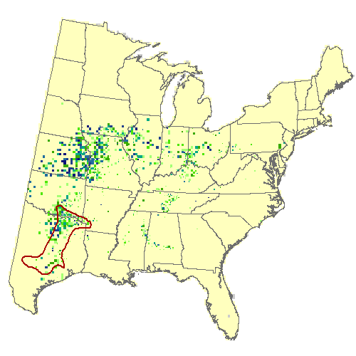 Current Forest Inventory and Analysis under Current Conditions