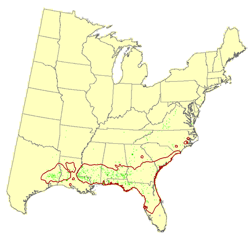 Modeled Habitat or southern magnolia Modeled Habitat for southern magnolia