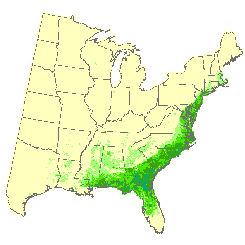 Average of 3 GCM, Moderate emissions (RCP 8.5) for swamp tupelo Average of 3 GCM, Moderate emissions (RCP 8.5) for swamp tupelo