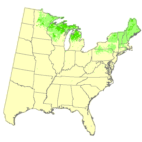 Community Climate System Model 4.0 (CCSM4), Moderate emissions (RCP 8.5) for bigtooth aspen Community Climate System Model 4.0 (CCSM4), Moderate emissions (RCP 8.5) for bigtooth aspen