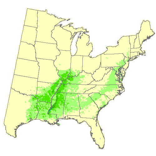 Community Climate System Model 4.0 (CCSM4), Moderate emissions (RCP 8.5) for cherrybark oak; swamp red oak