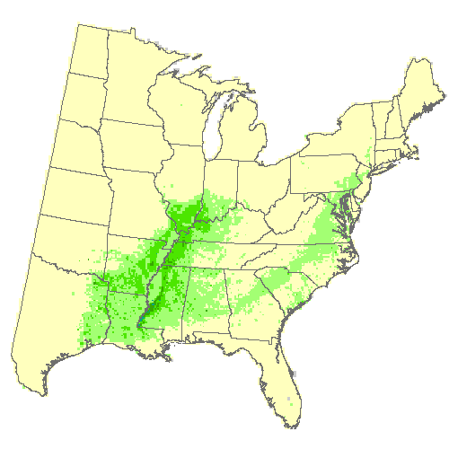 Geophysical Fluid Dynamics Laboratory (GFDL), Moderate emissions (RCP 4.5) for cherrybark oak; swamp red oak