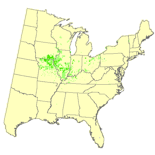 Community Climate System Model 4.0 (CCSM4), Moderate emissions (RCP 8.5) for shingle oak Community Climate System Model 4.0 (CCSM4), Moderate emissions (RCP 8.5) for shingle oak