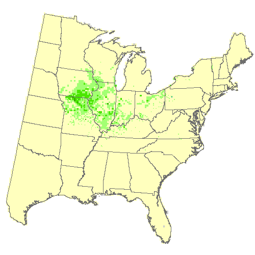 Geophysical Fluid Dynamics Laboratory (GFDL), Moderate emissions (RCP 4.5) for shingle oak Geophysical Fluid Dynamics Laboratory (GFDL), Moderate emissions (RCP 4.5) for shingle oak