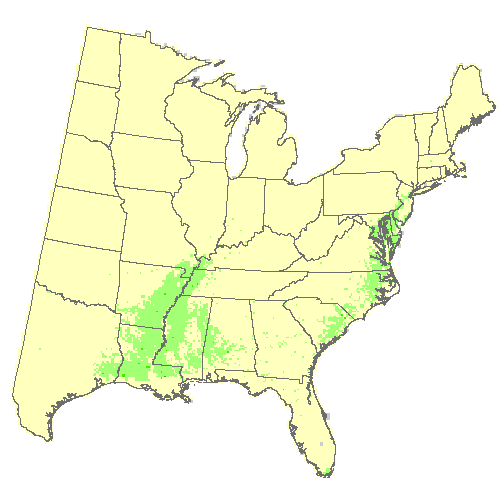 HadGEM2-ES, Moderate emissions (RCP 4.5) for swamp chestnut oak HadGEM2-ES, Moderate emissions (RCP 4.5) for swamp chestnut oak
