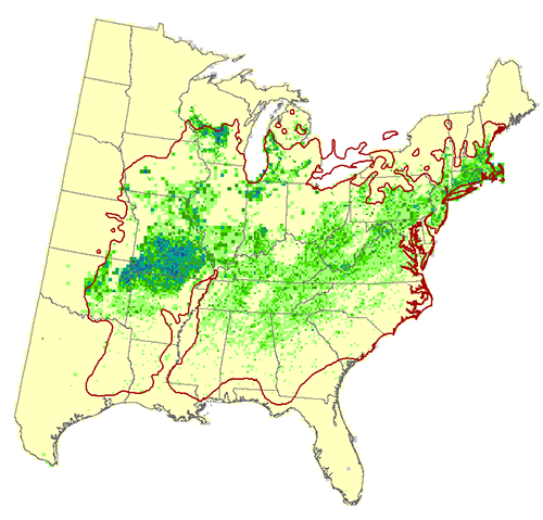 Modeled Habitat or black oak Modeled Habitat for black oak