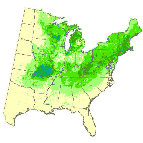 Average of 3 GCM, Moderate emissions (RCP 4.5) for black oak Average of 3 GCM, Moderate emissions (RCP 4.5) for black oak