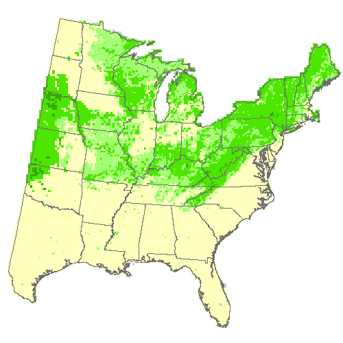 Geophysical Fluid Dynamics Laboratory (GFDL), Moderate emissions (RCP 8.5) for black locust Geophysical Fluid Dynamics Laboratory (GFDL), Moderate emissions (RCP 8.5) for black locust
