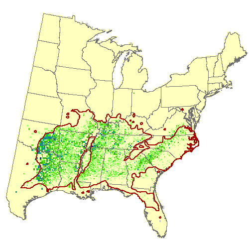 Current Forest Inventory and Analysis under Current Conditions