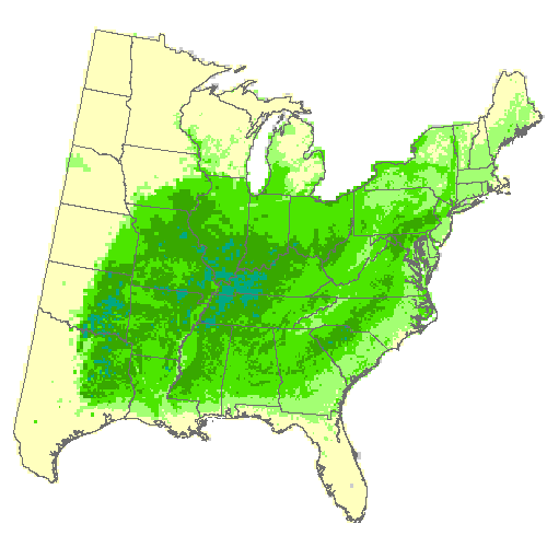 HadGEM2-ES, Moderate emissions (RCP 8.5) for winged elm