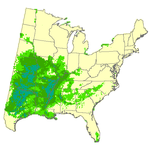 Community Climate System Model 4.0 (CCSM4), Moderate emissions (RCP 8.5) for cedar elm