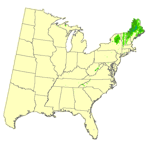 HadGEM2-ES, Moderate emissions (RCP 8.5) for red spruce HadGEM2-ES, Moderate emissions (RCP 8.5) for red spruce