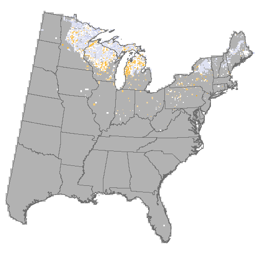 Difference Summary for red pine under Hadley, Moderate emissions (RCP 4.5)